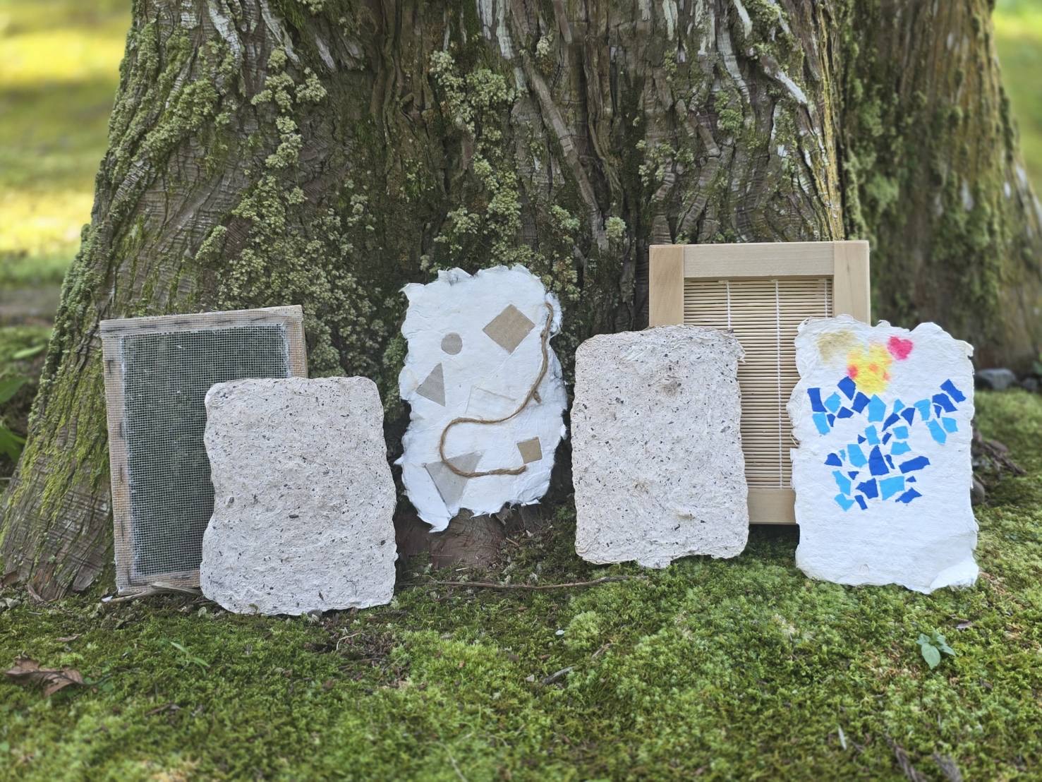 飫肥杉の手すきはがきをつくろう